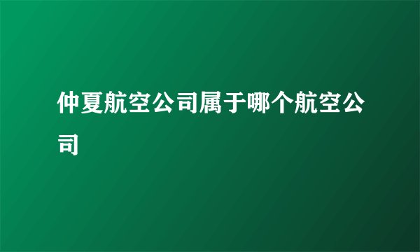 仲夏航空公司属于哪个航空公司