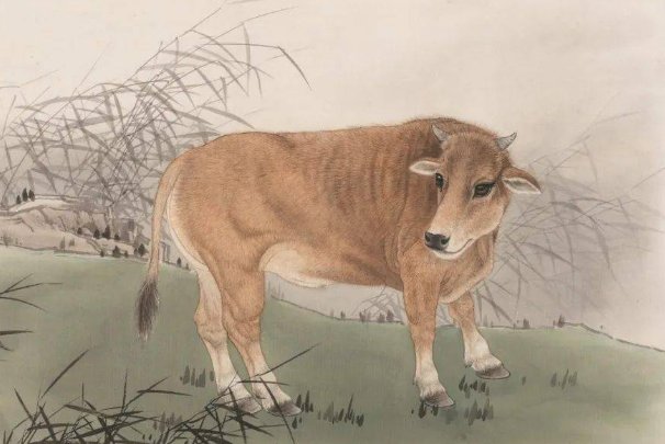 不进油盐打一正确生肖