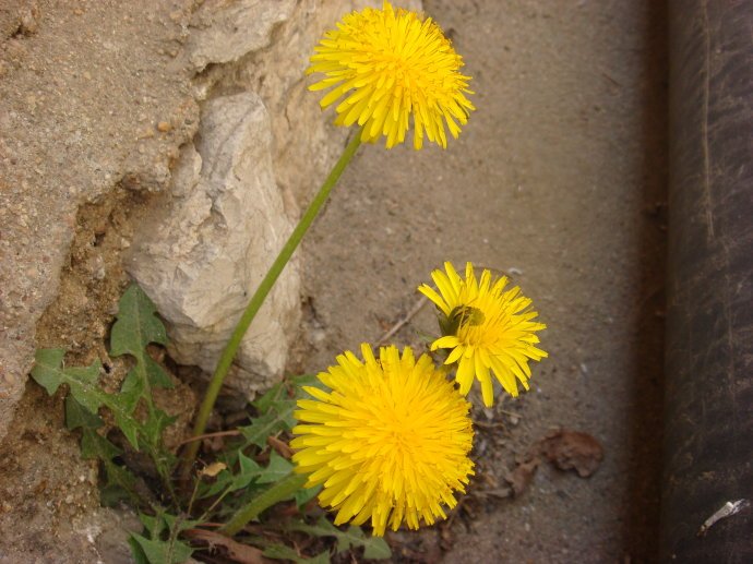 陆钦侃的主要著述