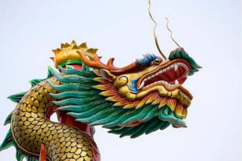 有影无踪代表什么生肖