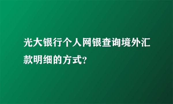 光大银行个人网银查询境外汇款明细的方式？