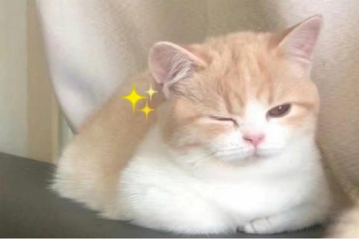 啾咪是什么意思?