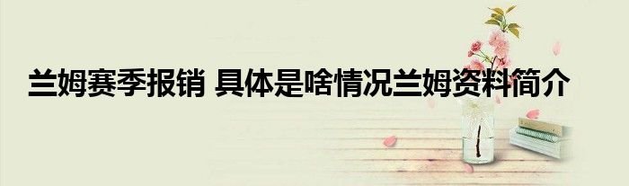 兰姆赛季报销具体是啥情况兰姆资料简介