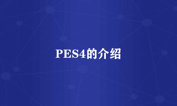 PES4的介绍