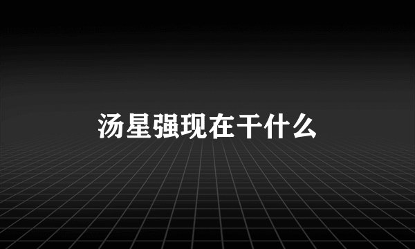 汤星强现在干什么