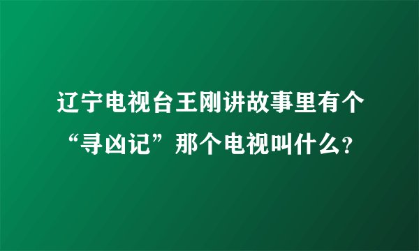 辽宁电视台王刚讲故事里有个“寻凶记”那个电视叫什么？