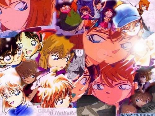 柯南之白枫的目录