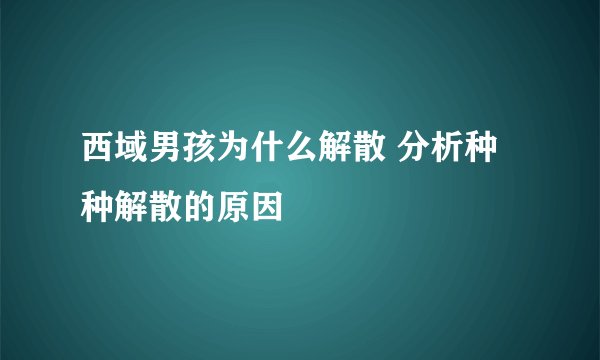 西域男孩为什么解散 分析种种解散的原因