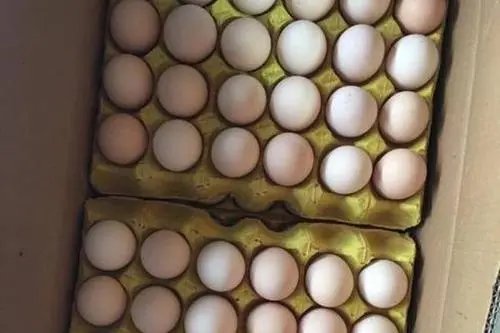 韩国鸡蛋价格暴涨四成,为什么会出现这种情况?