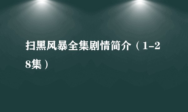 扫黑风暴全集剧情简介（1-28集）