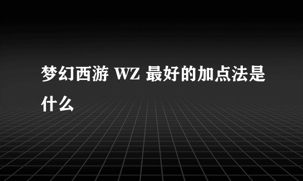 梦幻西游 WZ 最好的加点法是什么