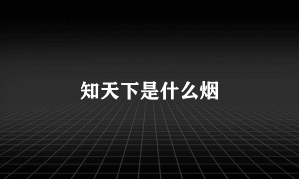 知天下是什么烟