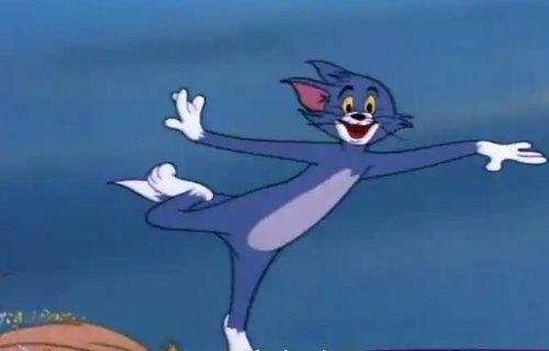 2020汤姆最新地域网名