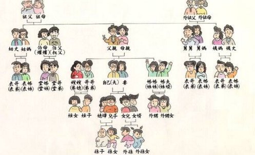 家族的顺序是怎样的？