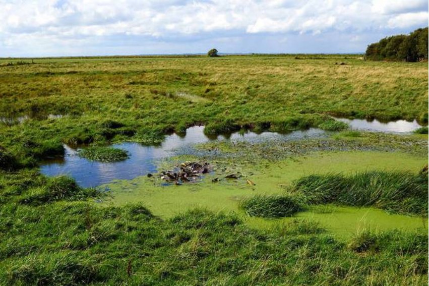 水泽是什么意思