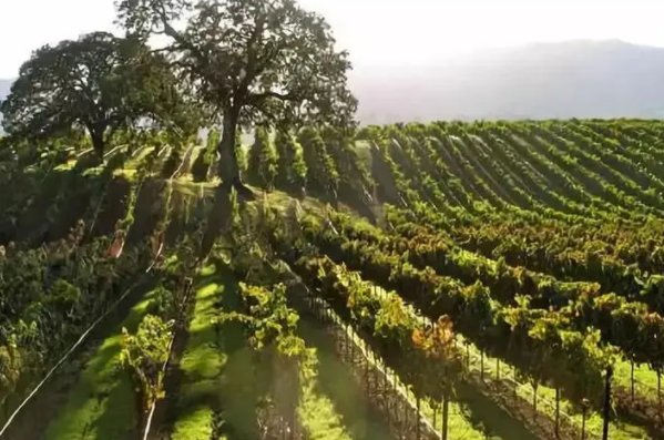 一二三产区的文化背景