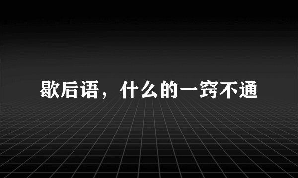 歇后语，什么的一窍不通