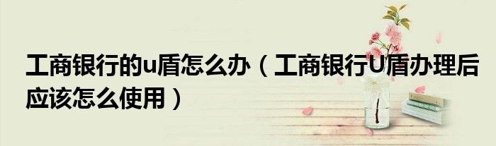工商银行的u盾怎么办工商银行U盾办理后应该怎么使用