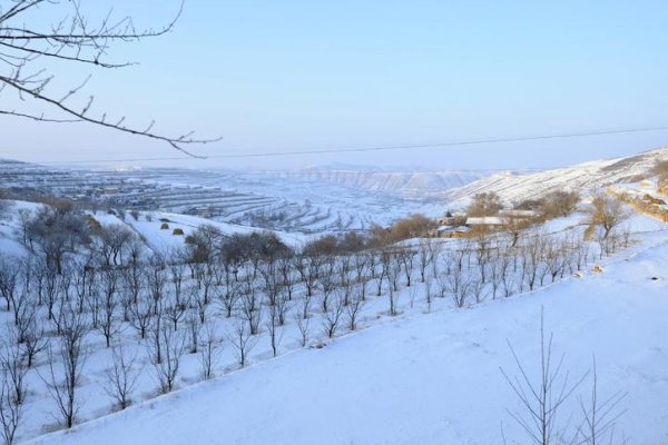 故乡的情,故乡的雪