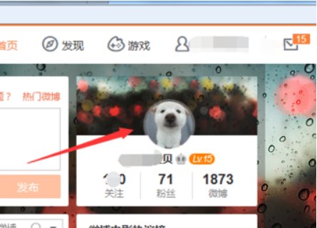 怎么看微博访客