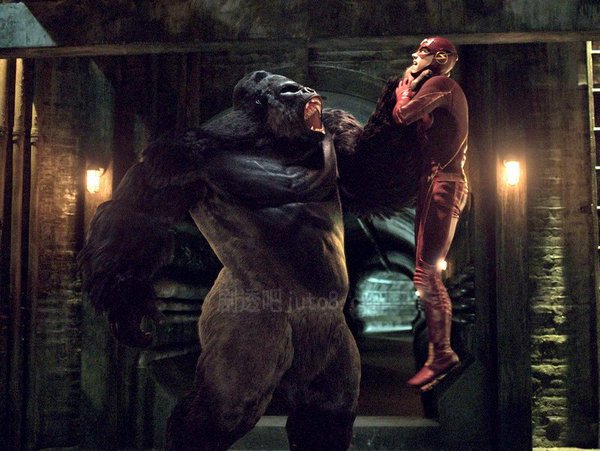 大猩猩古鲁德的介绍