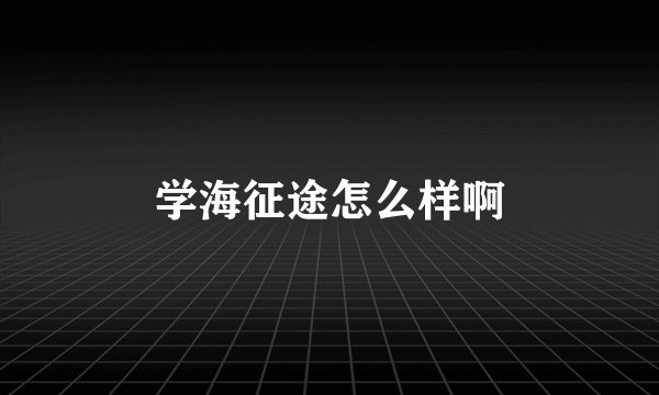 学海征途怎么样啊