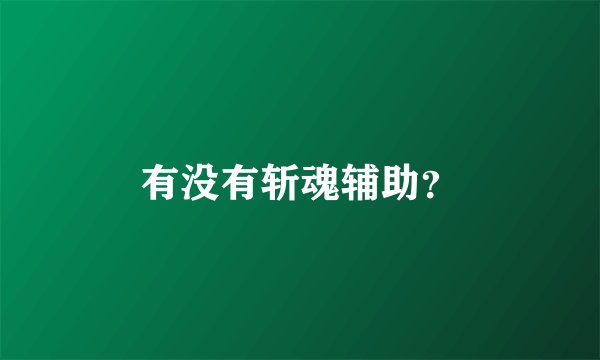 有没有斩魂辅助？