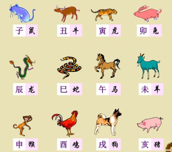 碧波荡漾打一准确生肖