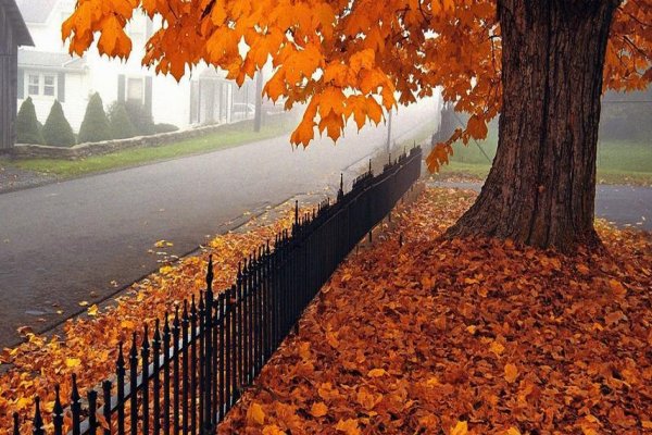 秋天来了补充句子一年级