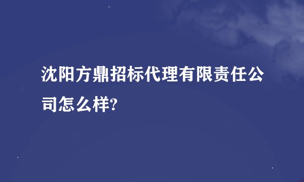 沈阳方鼎招标代理有限责任公司怎么样?