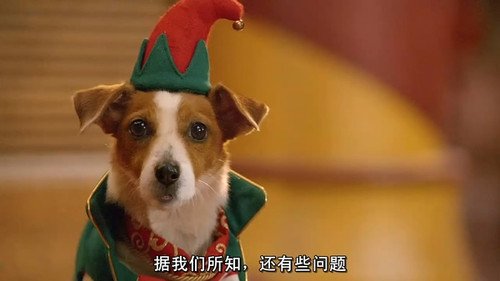 圣诞狗狗之圣诞小宝贝的介绍