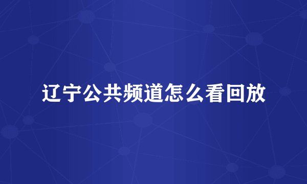 辽宁公共频道怎么看回放