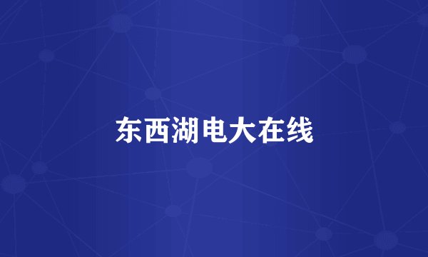 东西湖电大在线