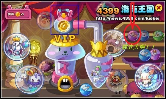 洛克宠物猫老大怎么捕捉