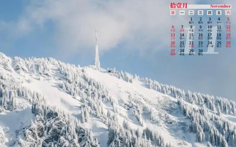 11月有什么节日