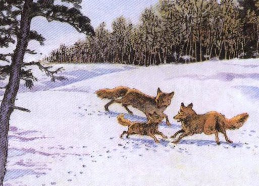 金色的脚印记叙了（ ）的生动故事。事件的起因是（ ），经过是（ ）结果是（ ）。