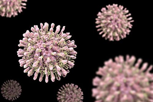 引发警惕!全球气候变暖成人畜共患病传播主因,全球变暖能否阻止?