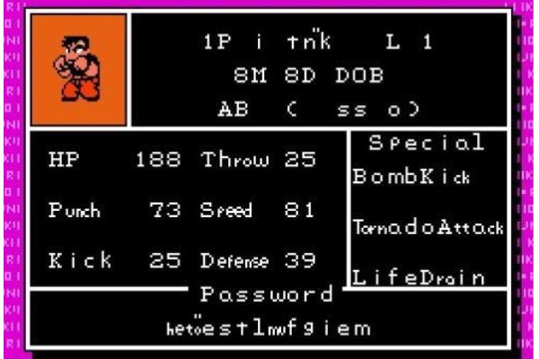 热血格斗选人有什么秘籍？