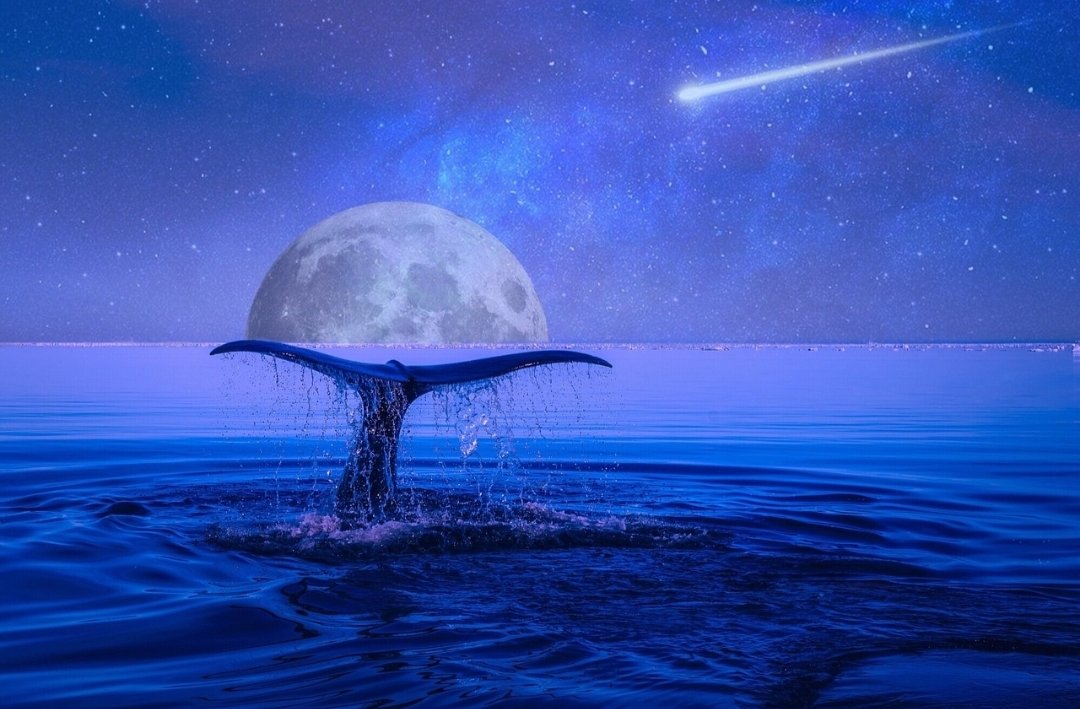 女生问男生说你会不会离开我男生应该怎么回？