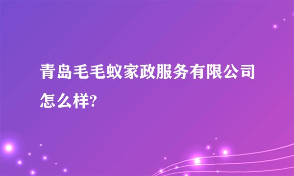 青岛毛毛蚁家政服务有限公司怎么样?