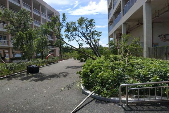 台风的移动路径是怎样的形式