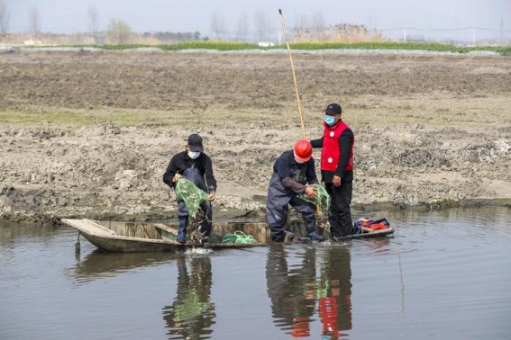 什么叫做“钓蚌”？