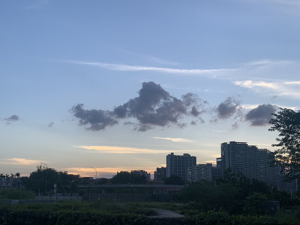 大学生感情问题有哪些