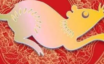 蚊思负山打一生肖