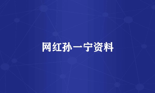 网红孙一宁资料