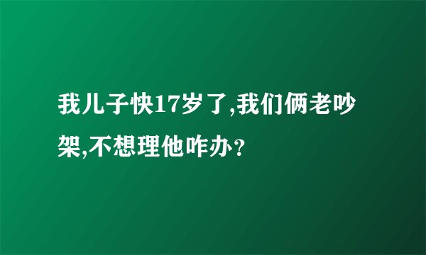 我儿子快17岁了,我们俩老吵架,不想理他咋办？