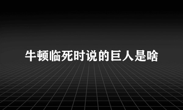 牛顿临死时说的巨人是啥
