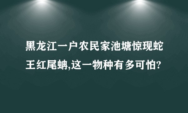 黑龙江一户农民家池塘惊现蛇王红尾蚺,这一物种有多可怕?