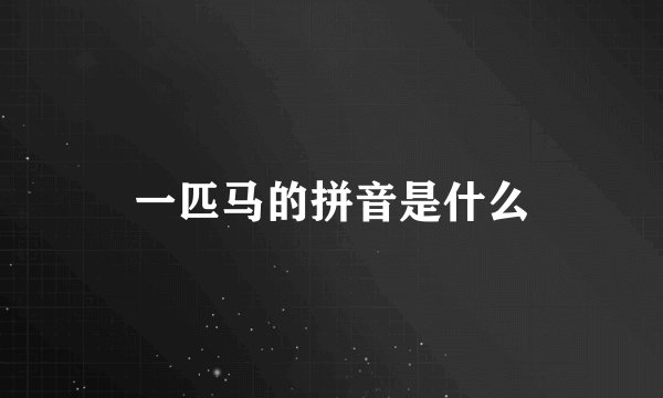 一匹马的拼音是什么