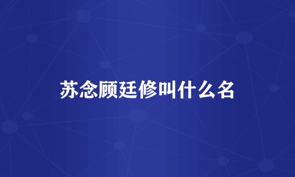 苏念顾廷修叫什么名